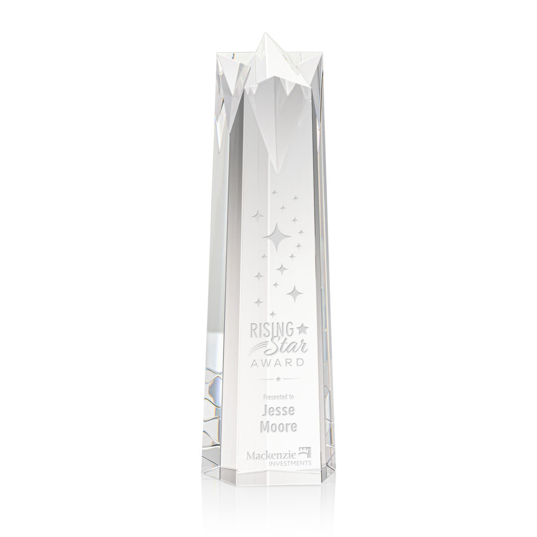 Ellesmere Star Obelisk Award 4