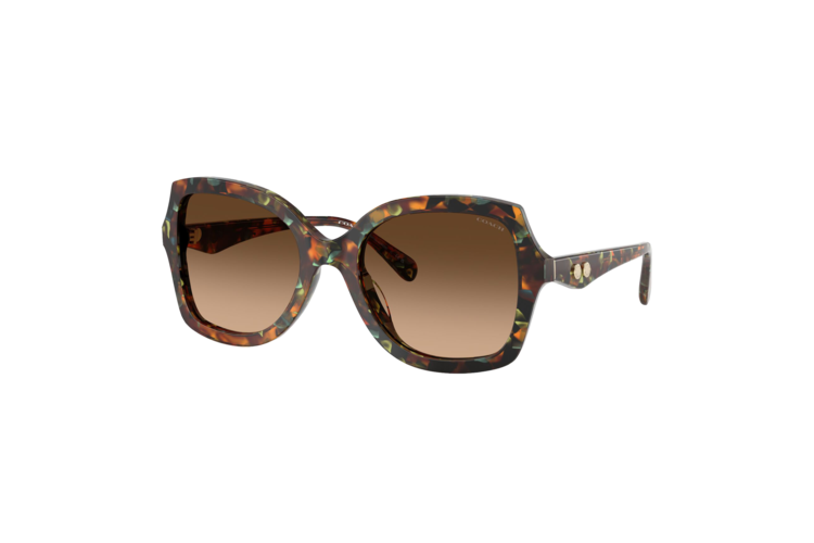 Coach Women's HC8410U Sunglasses 1
