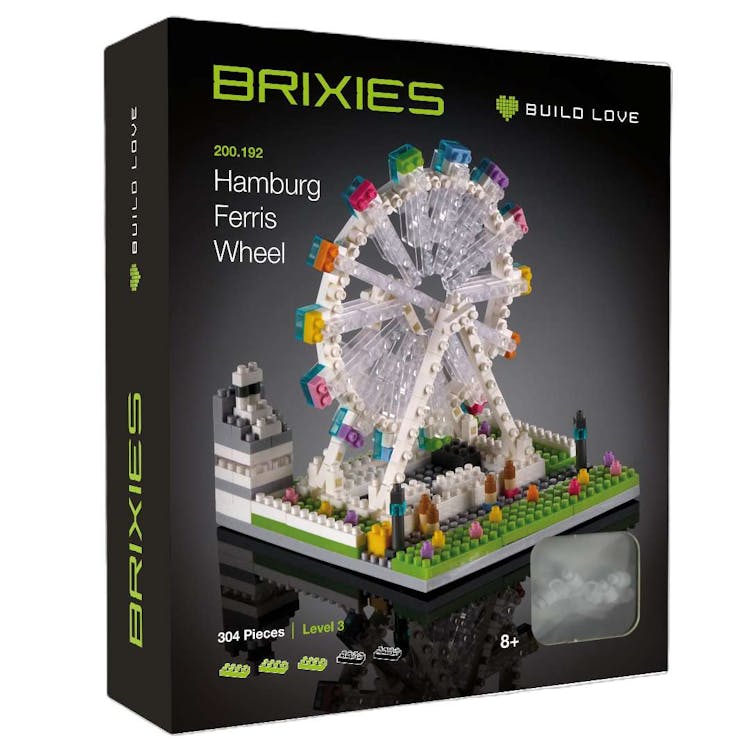 Ferris Wheel Building Brick Kits 2