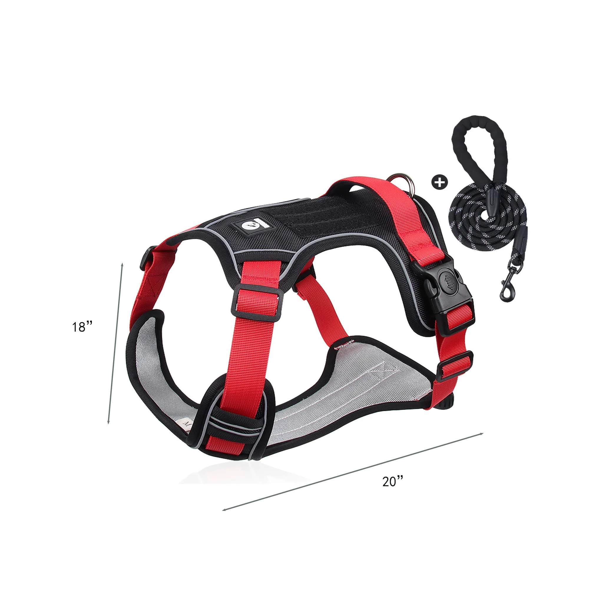 Dog Leash 5