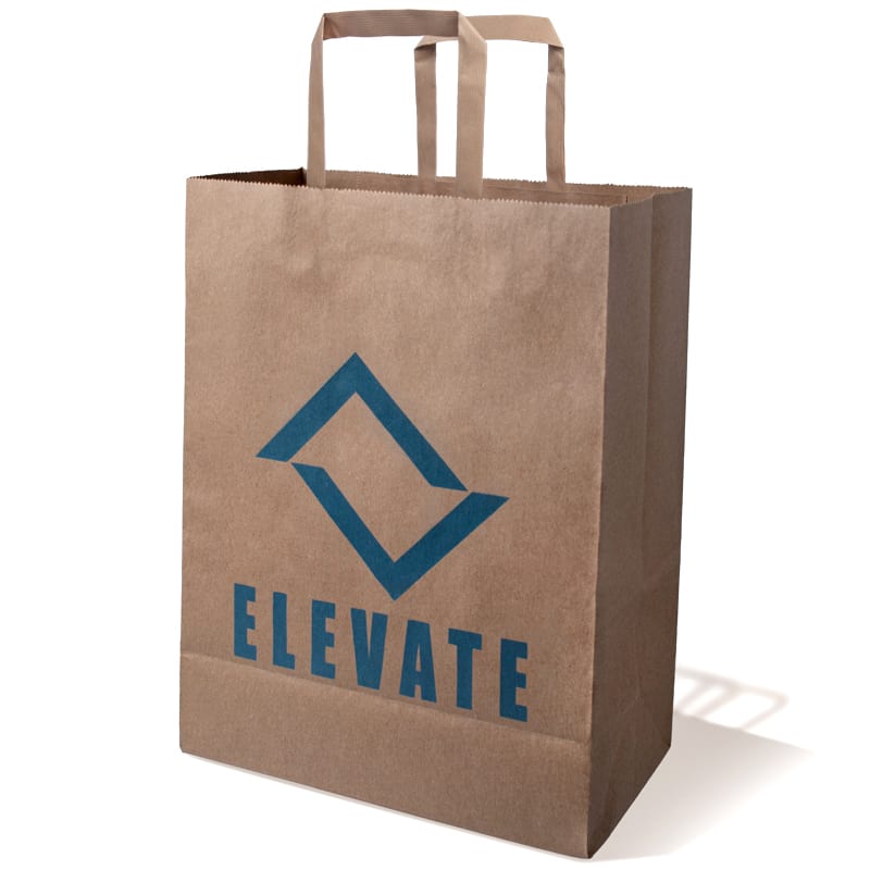 10 X 13 Inch Custom Paper Shopping Bag With Handles 13