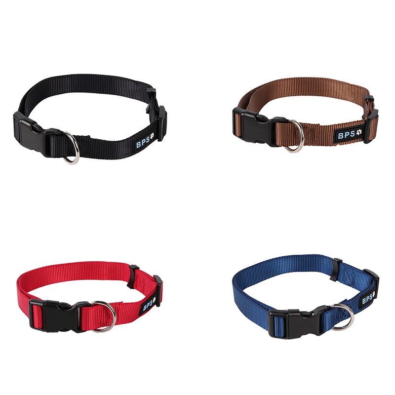 Nylon Dog Collar 3