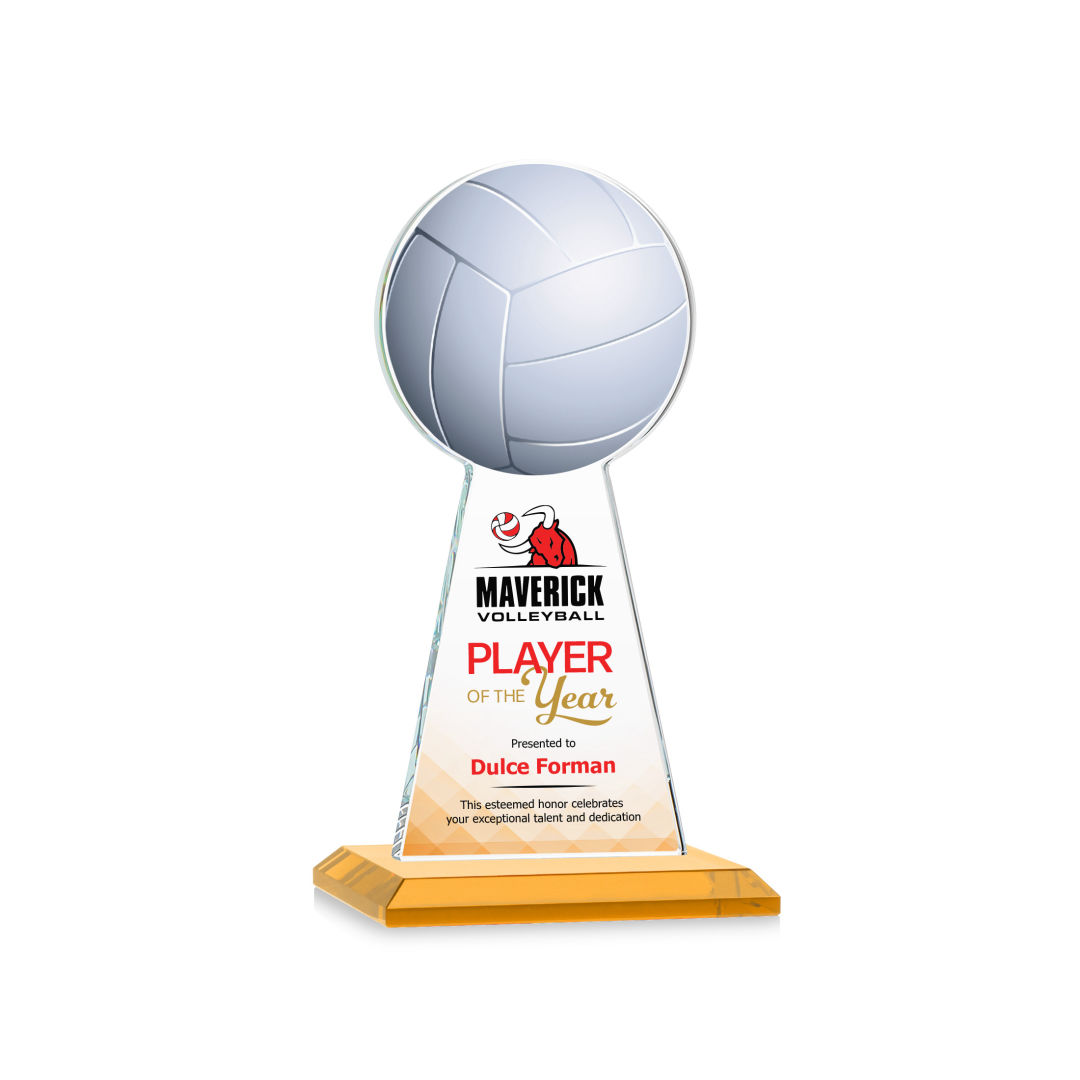 Edenwood Volleyball VividPrint™ Award - Amber 2
