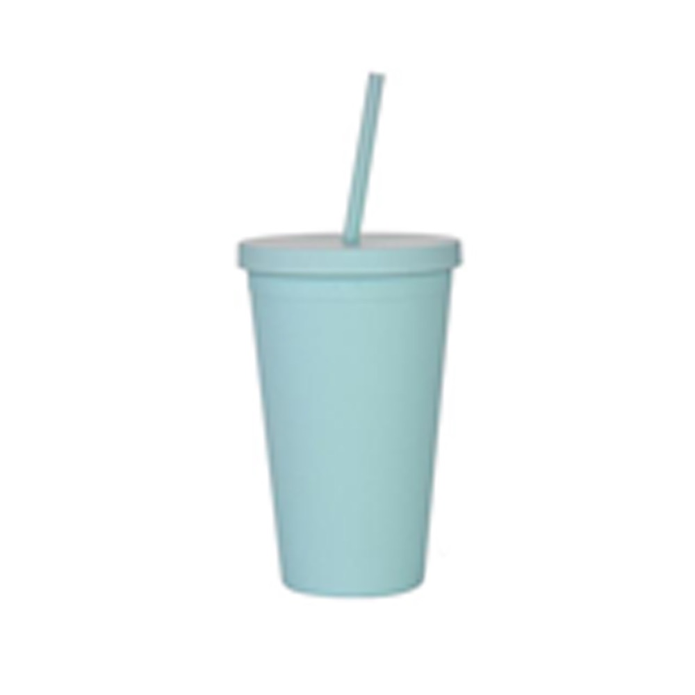 Double-Layer Plastic Straw Cup 4