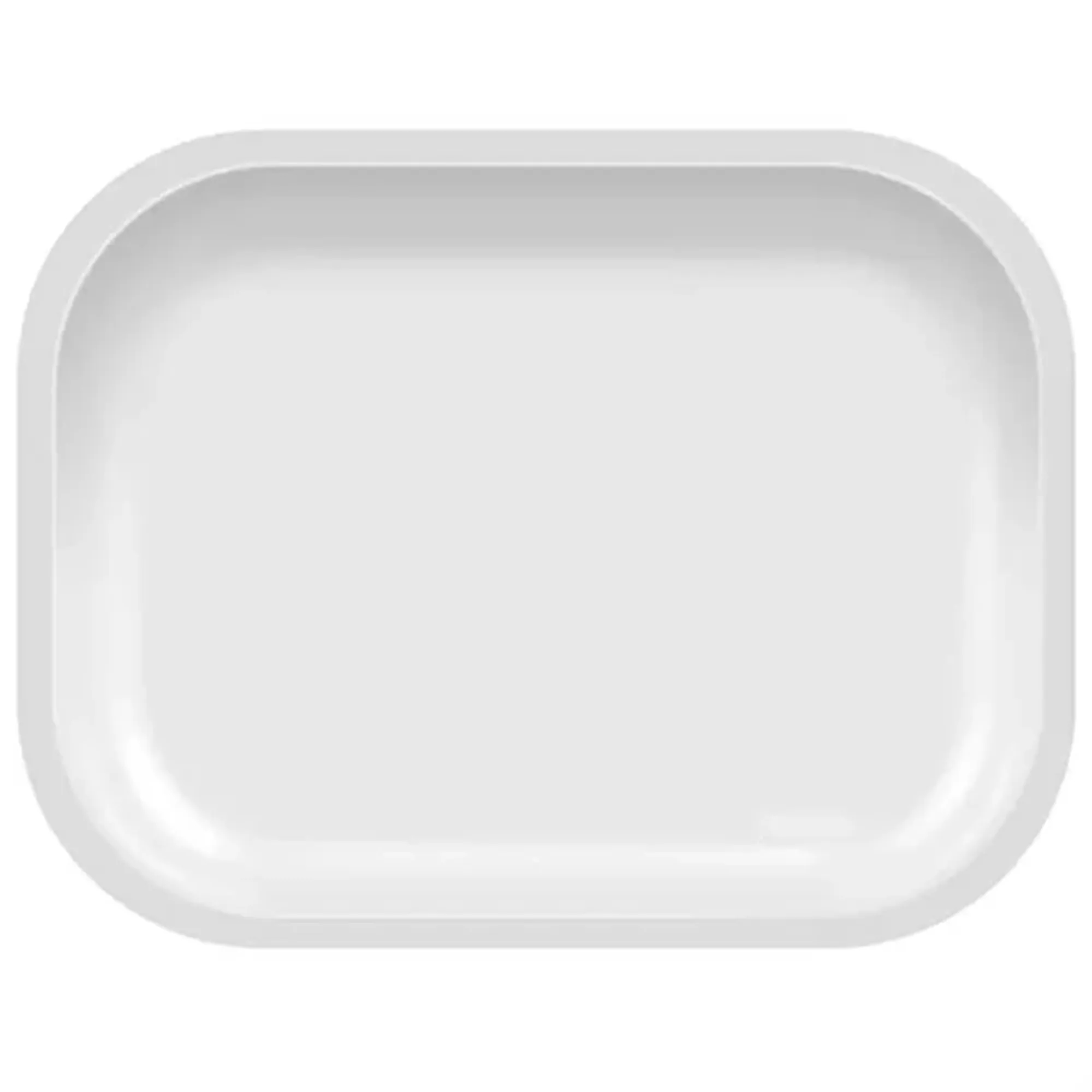 Rectangular Metal Tray 2