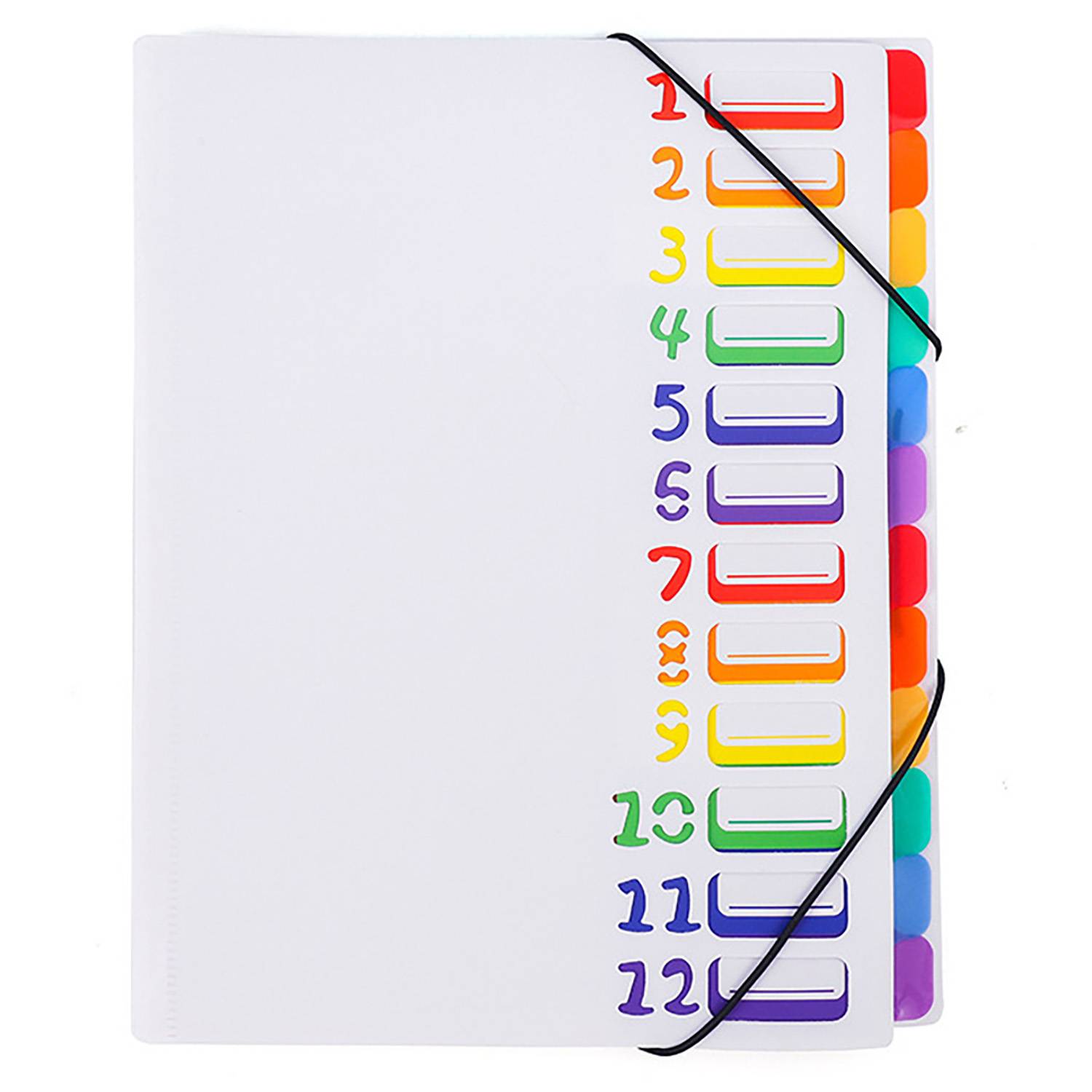 12 Pockets Plastic Expanding File Folder 15
