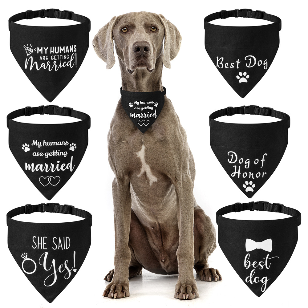 Dog Bandana Collar Scarf 5