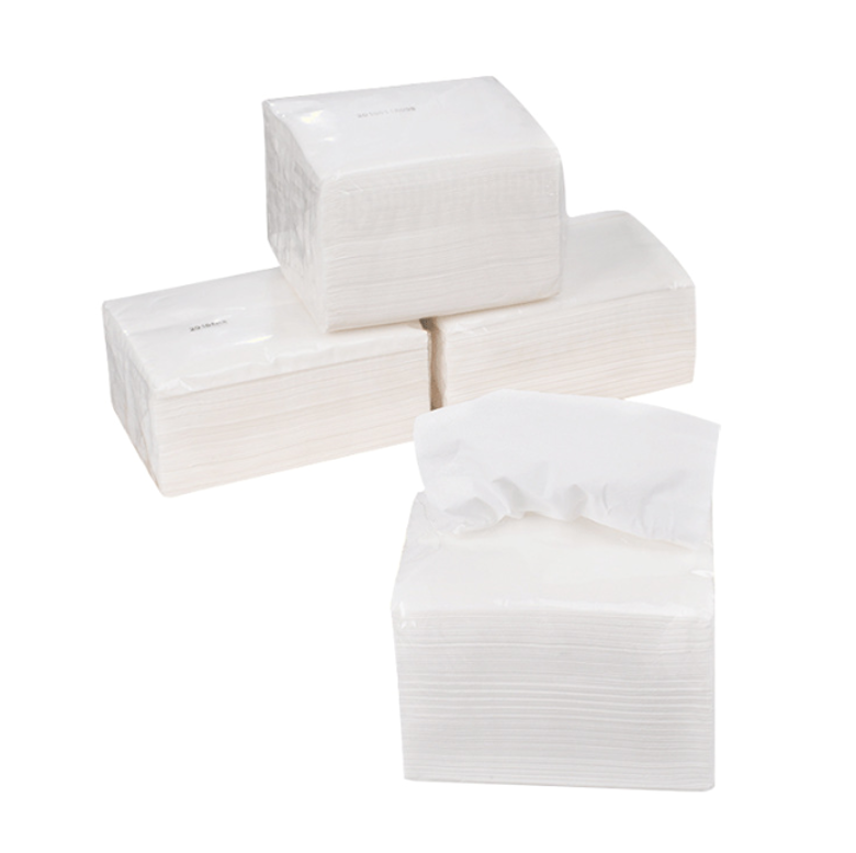 Toilet Tissue Paper 2