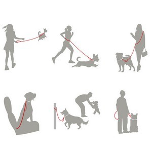 5 In 1 Hands Free Dog Leashes With Pockets 16