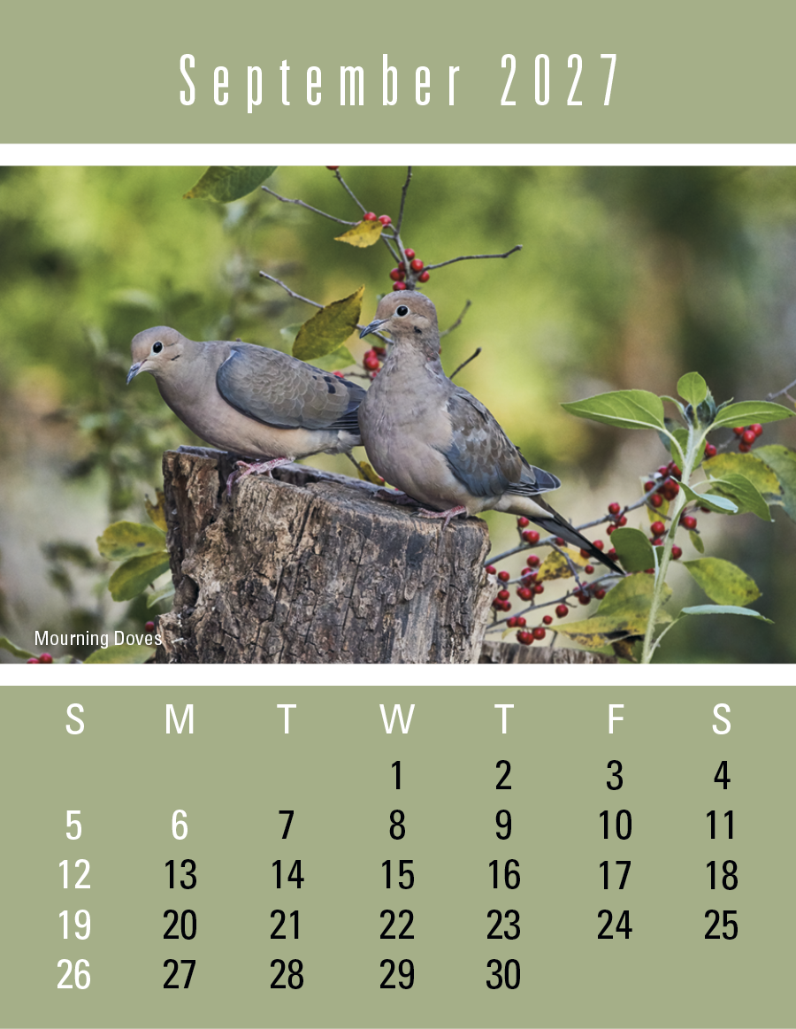 Triumph® Calendars Press-N-Stick Sportsmen Calendar 935