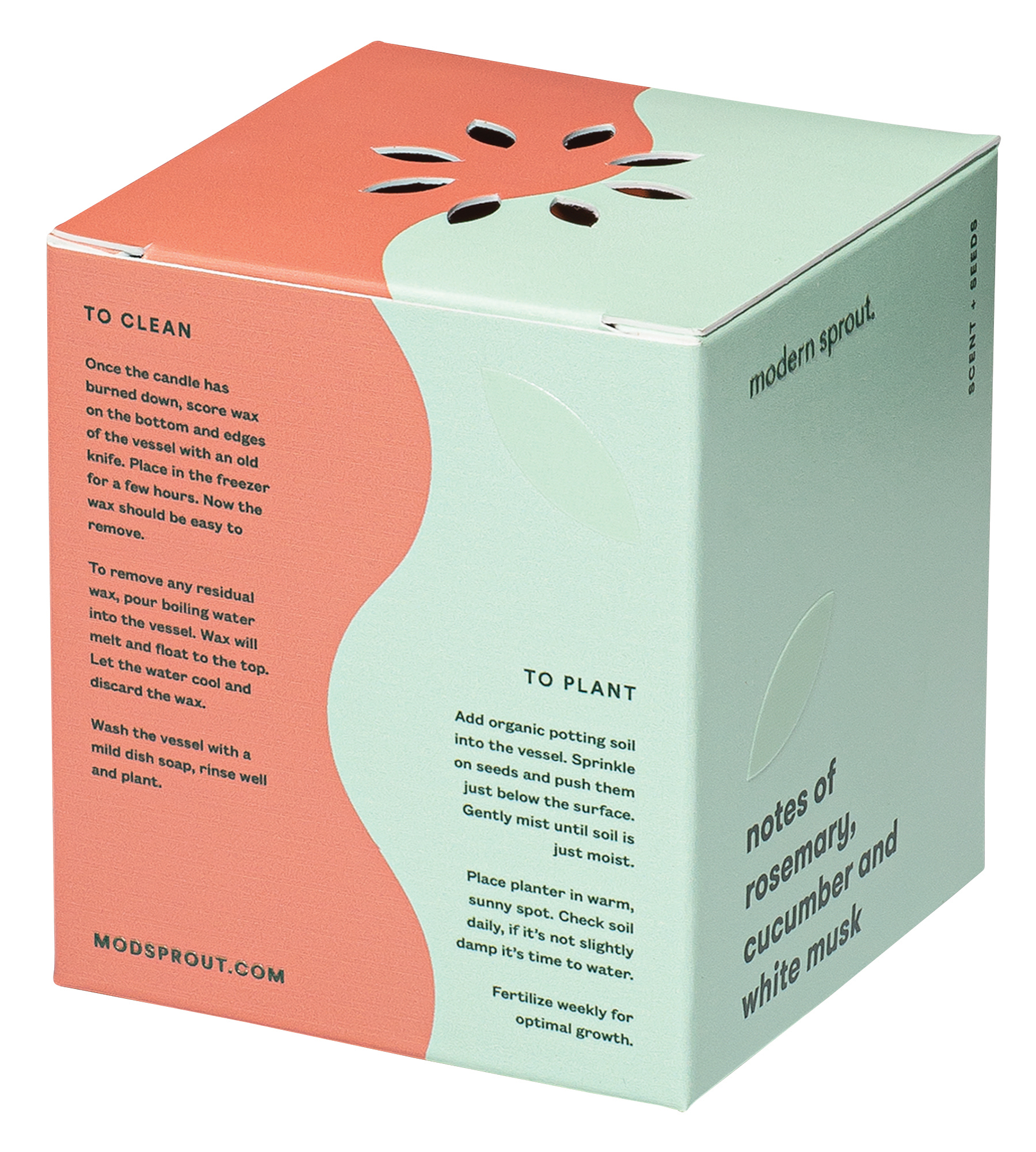 Modern Sprout® Rooted Candle 4