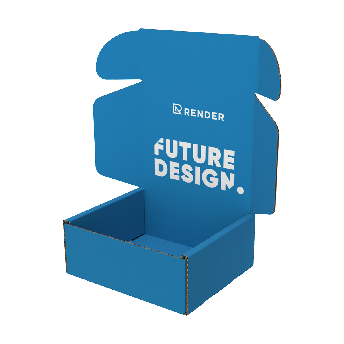 6X6 Full Color Mailer Box 1