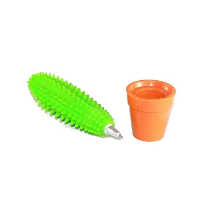 Cactus Pen 1