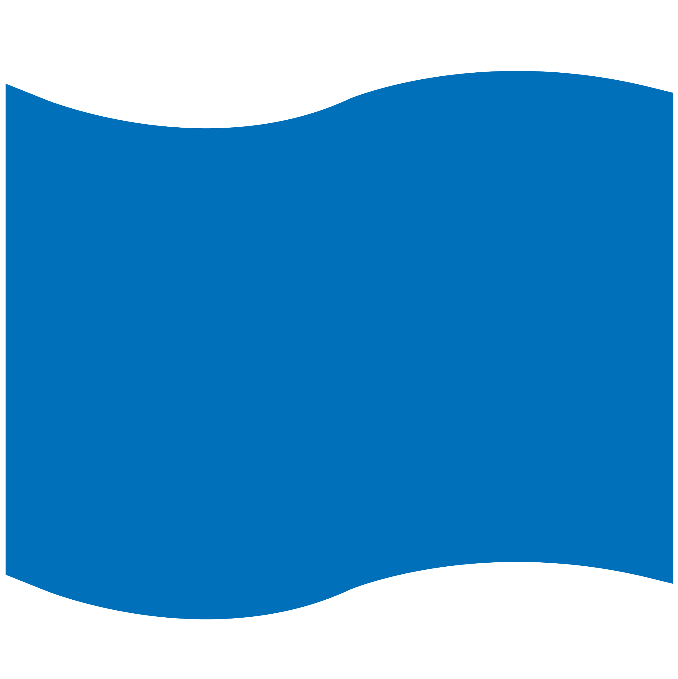 Foam Flag Mitt 30
