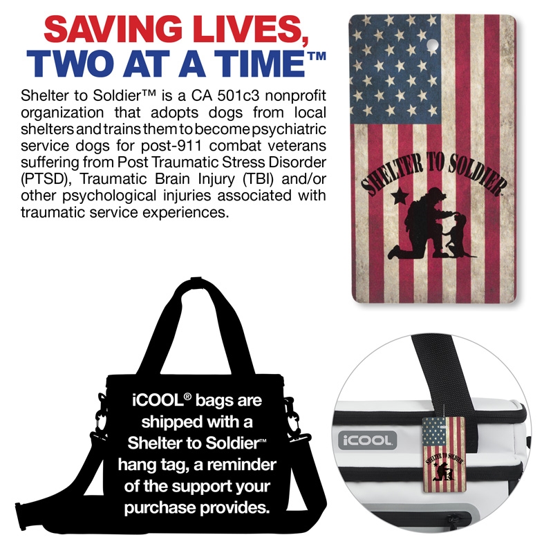 iCOOL® Vail 24-Can Cooler Bag 29