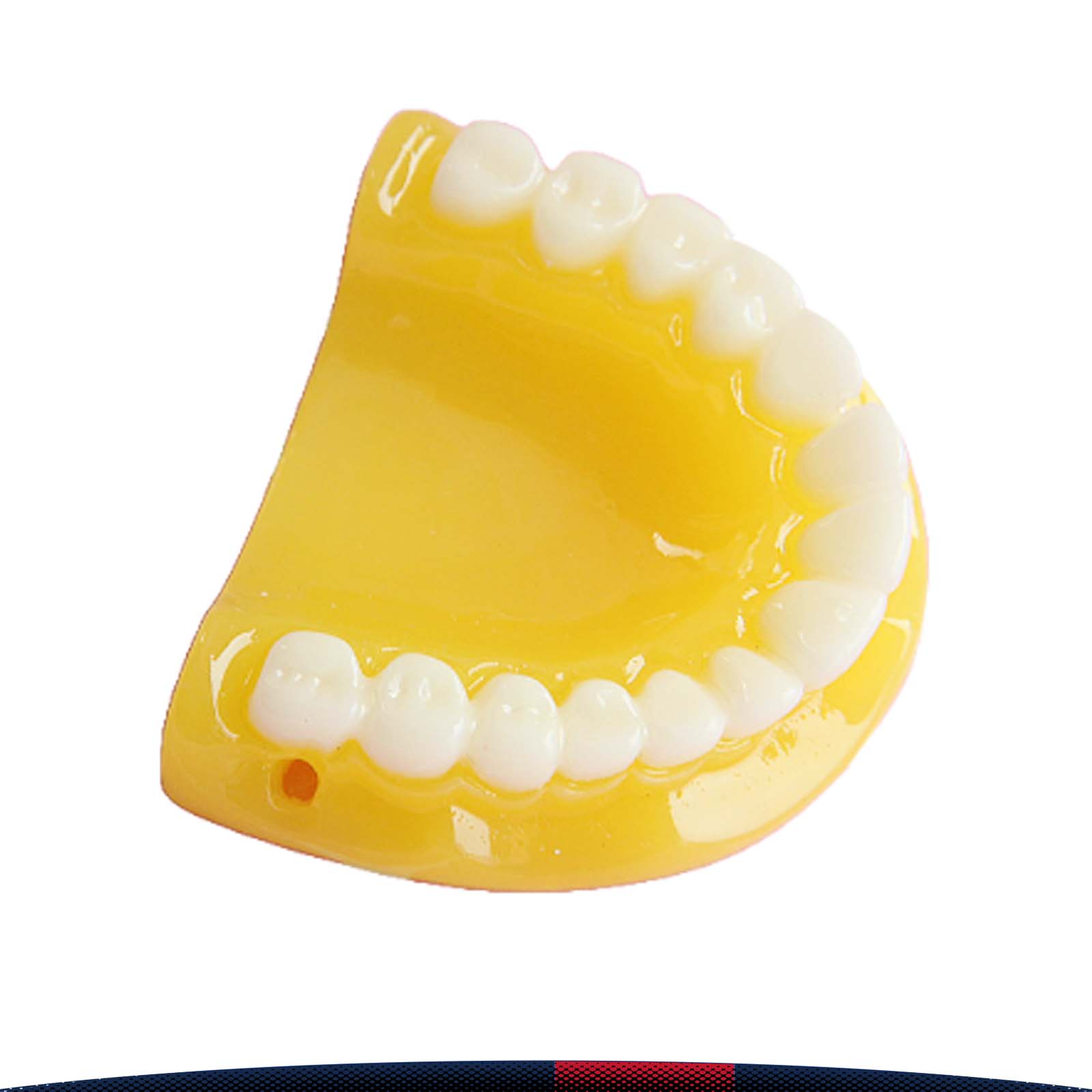 Simulated Resin Tooth Pendant 6