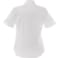 Women's STIRLING Short Sleeve Shirt 117