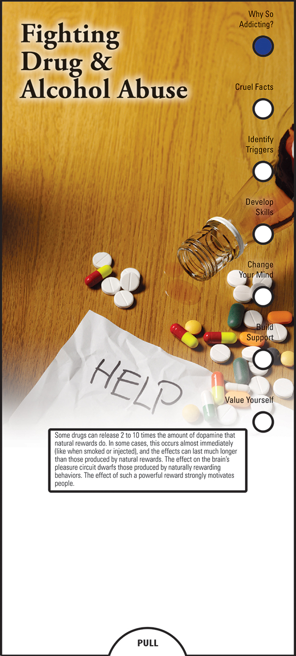 SLIDE CHART - Fighting Drug & Alcohol Abuse Slide Chart 2