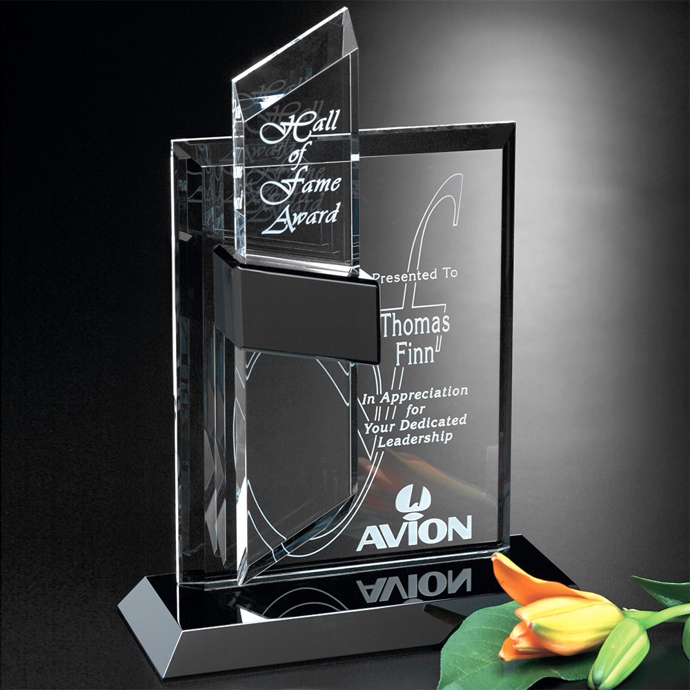 Intrepid Award 10