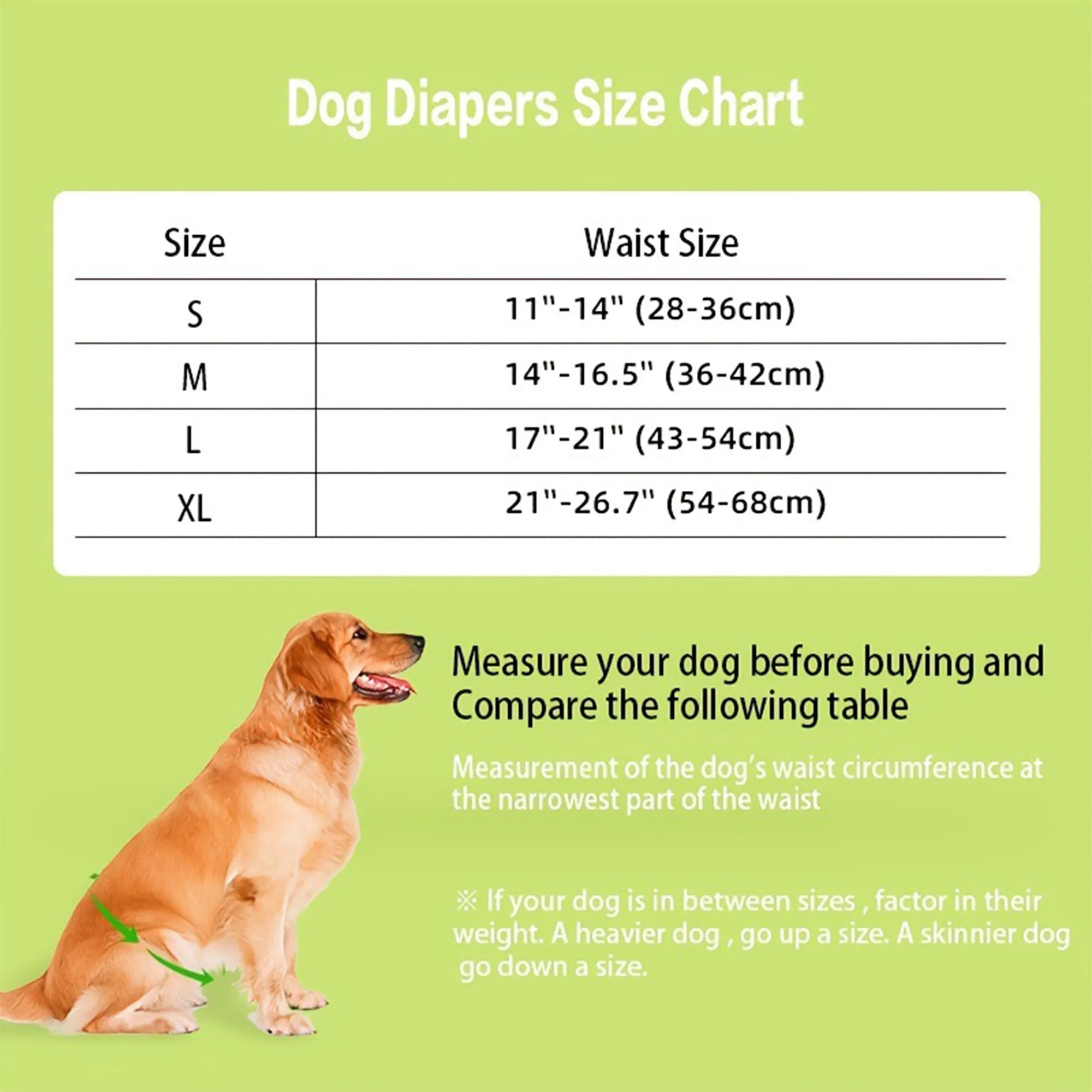 Washable Male Dog Diapers 3