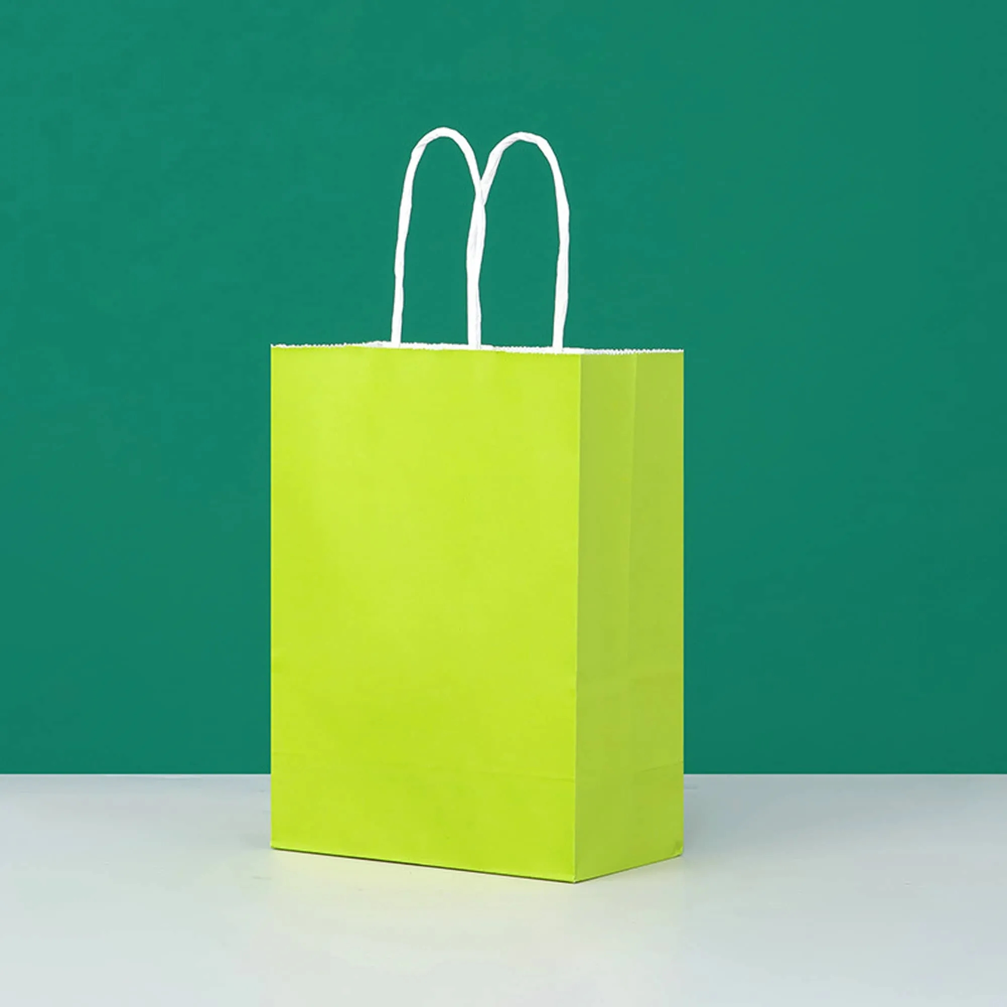 Custom Paper Shopping Bag 2