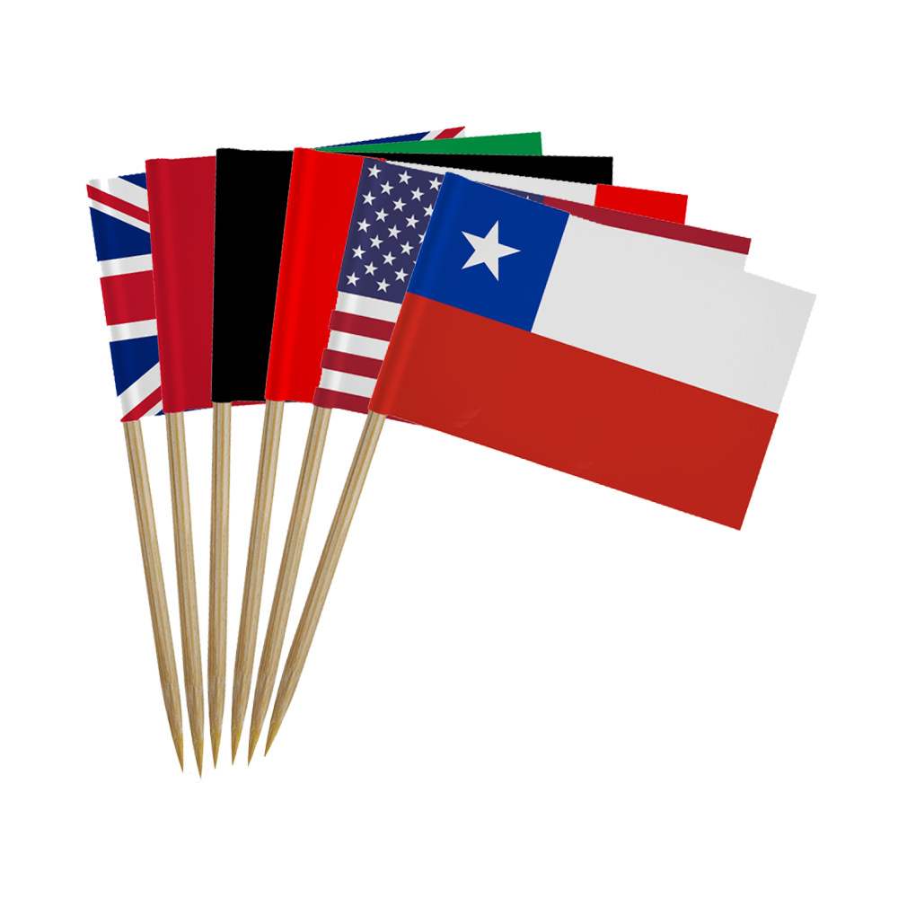 Qatar World Cup Customized Toothpick Flag 5