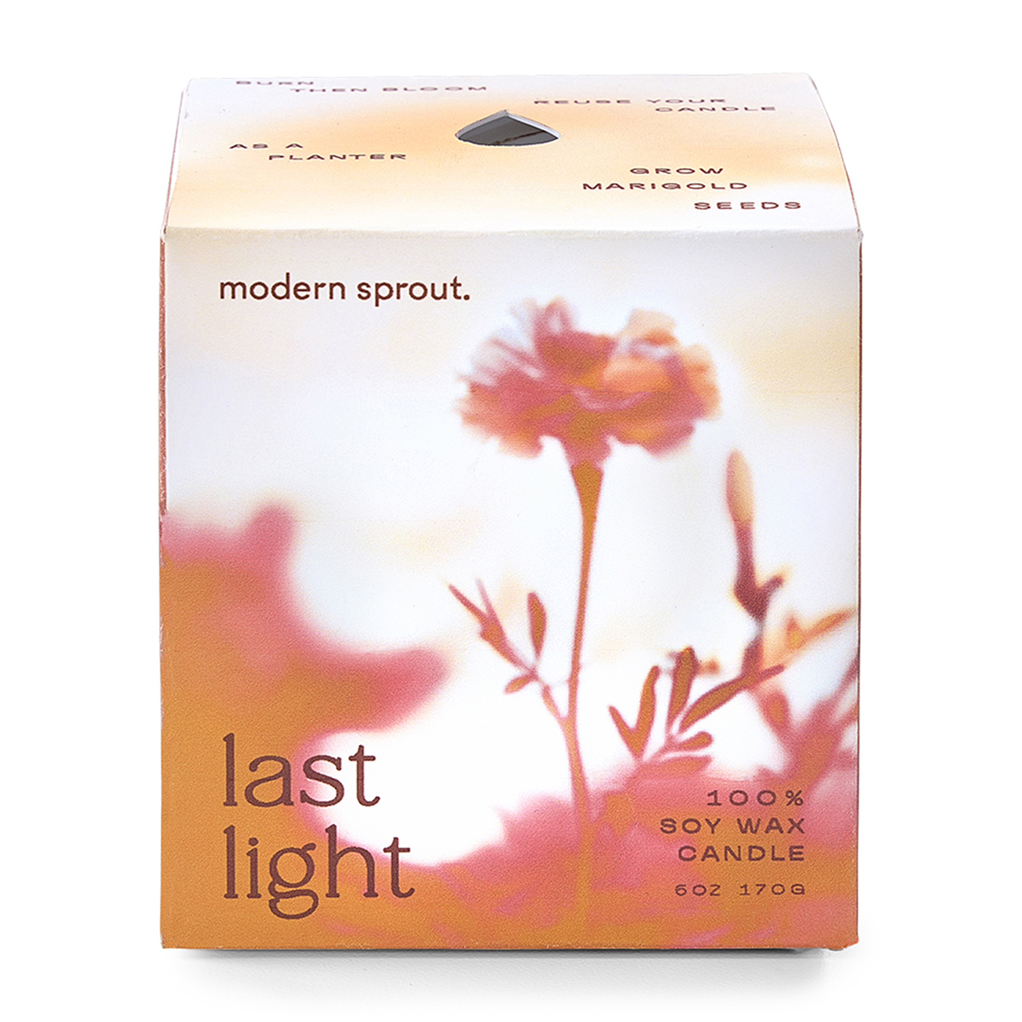 Modern Sprout® Garden Vibes Candle/Planter 67