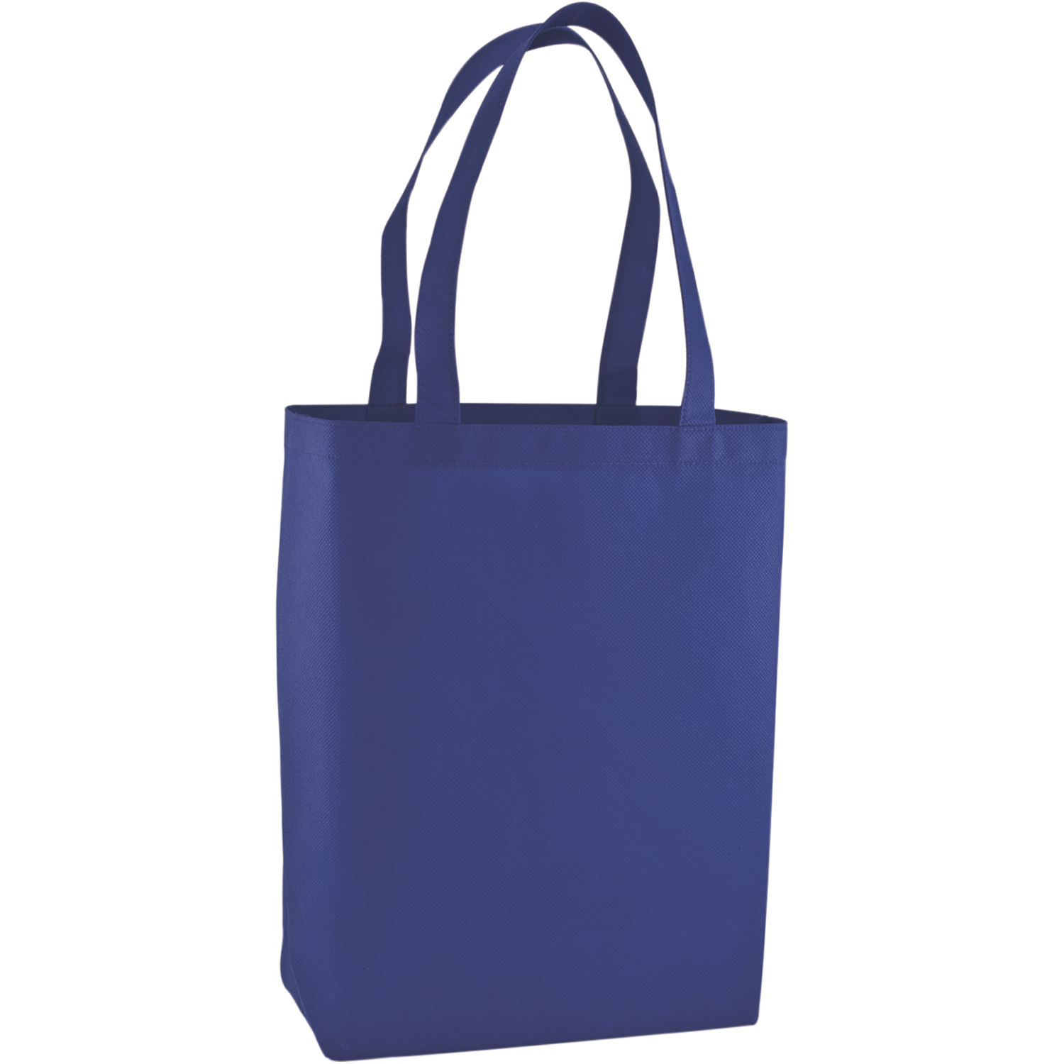 Ecsmb Carry Standard Market Bag 2