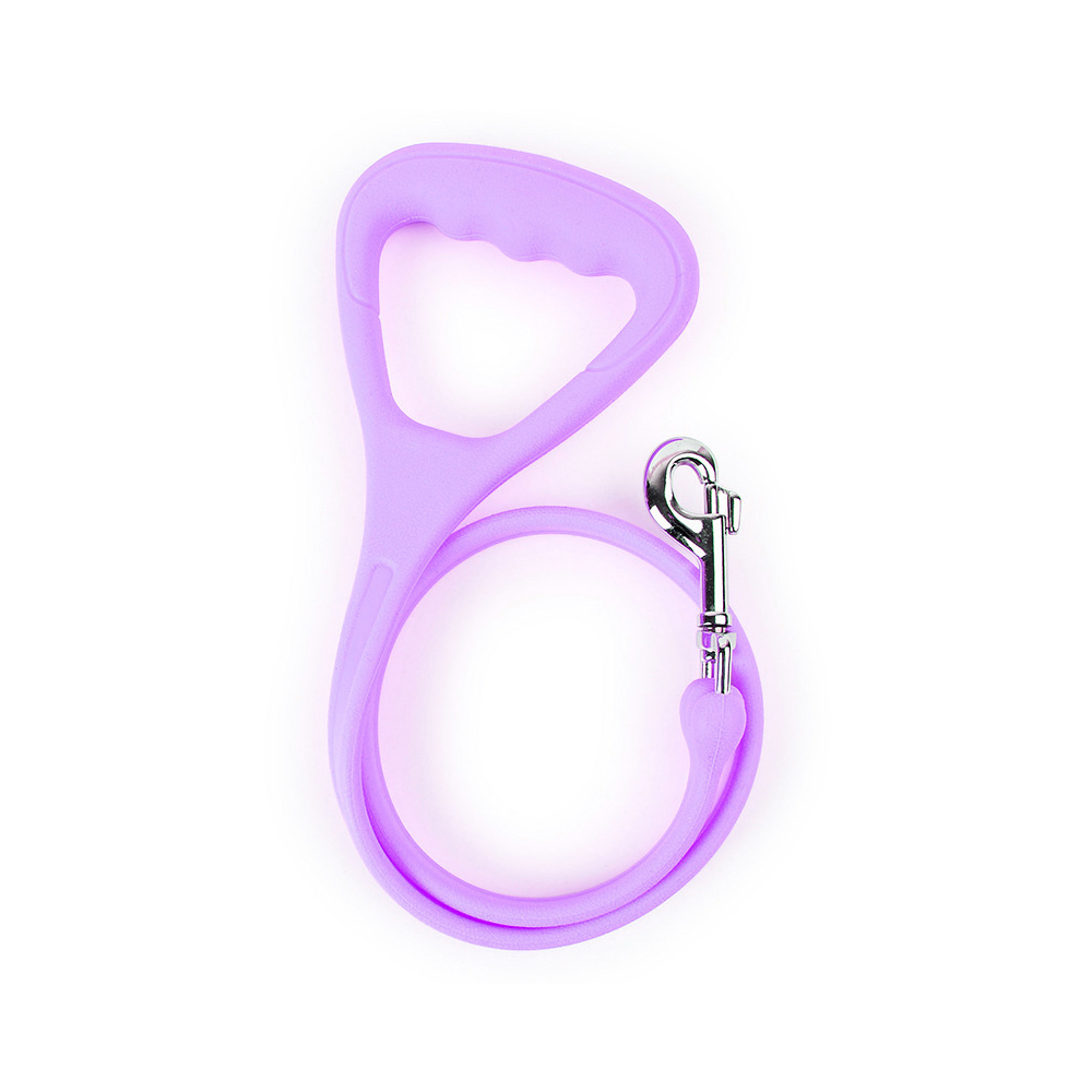Dog Leash 2