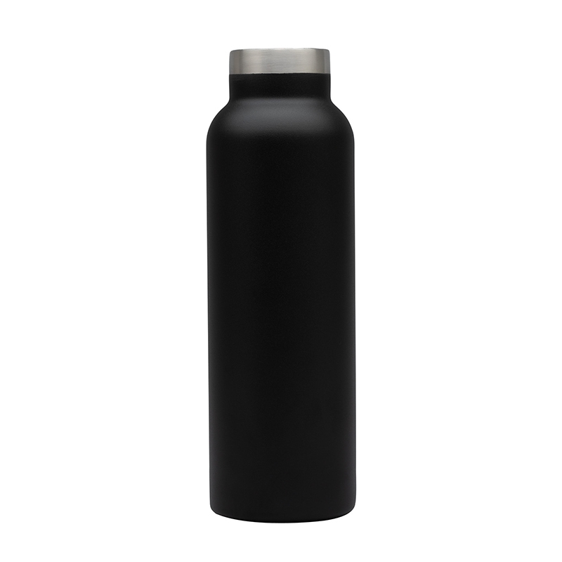 Splendid 22 oz. Double Wall Stainless Steel Bottle 44