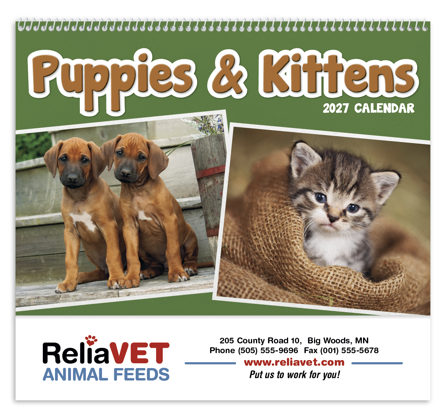 Triumph® Calendars Puppies & Kittens Pocket Calendar 39