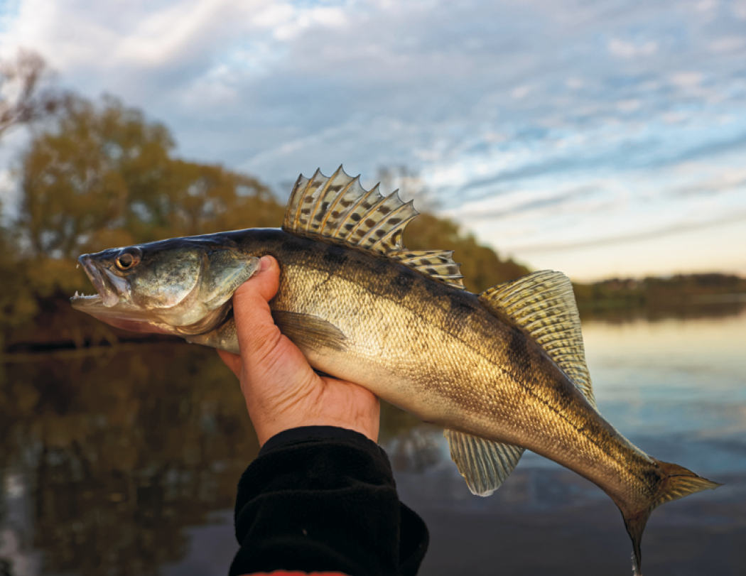 HotLine® Products Fishing Guide Appointment Calendar - Stapled 53