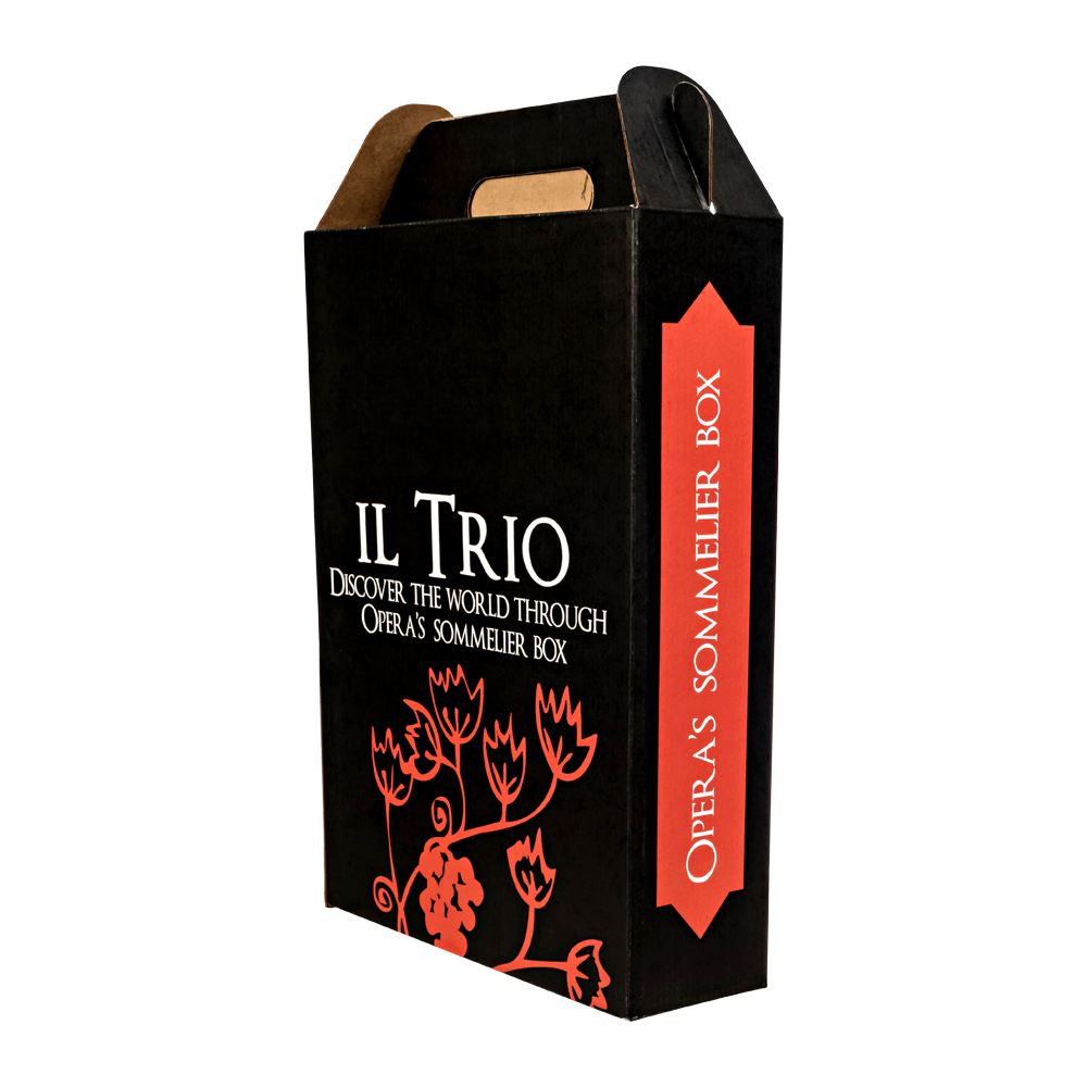 3-Bottle Cardboard Carrier 4