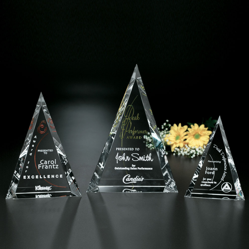 Palisade Award 6