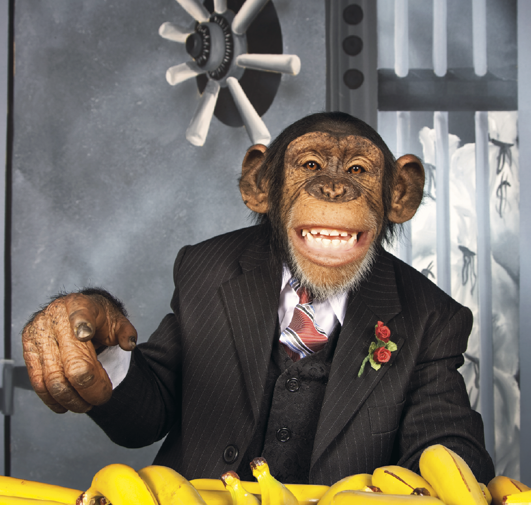 Triumph® Calendars Monkey Business Calendar 35