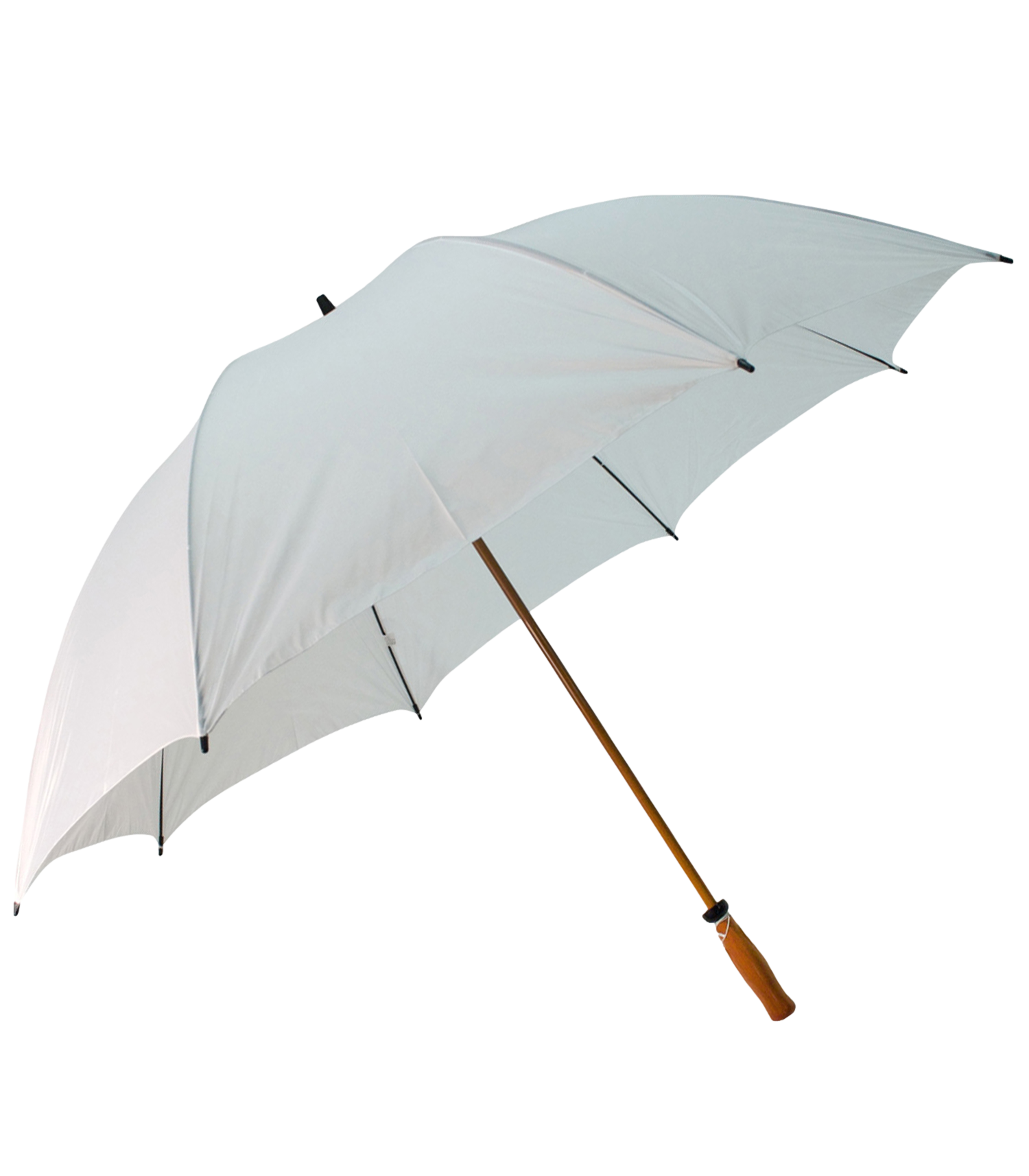 The Mulligan Golf Umbrella 19