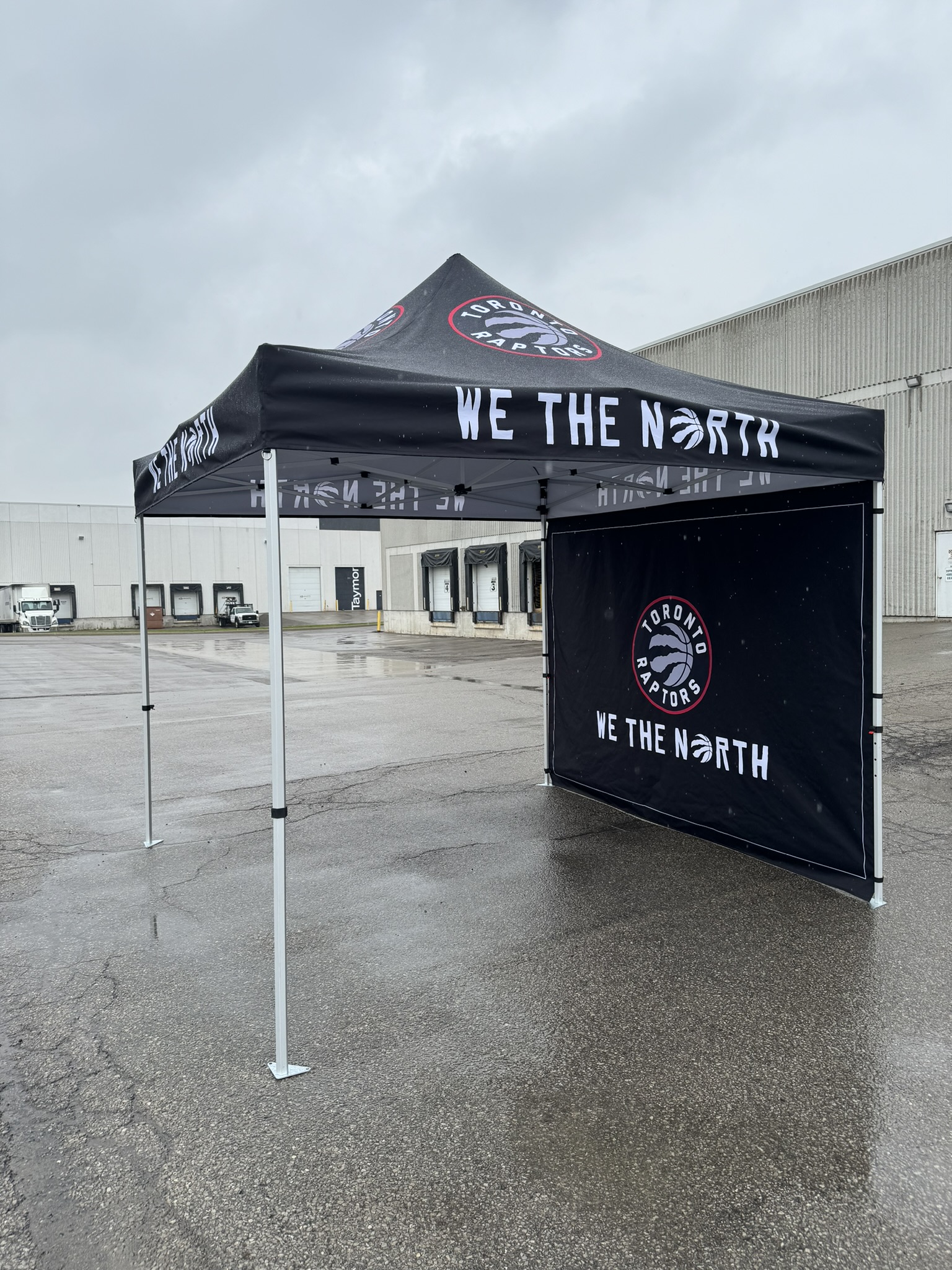 24 Hr Express Ship - Full Back Wall for 10x10 Tent Kit, Sublimated, Single Sided Print 13