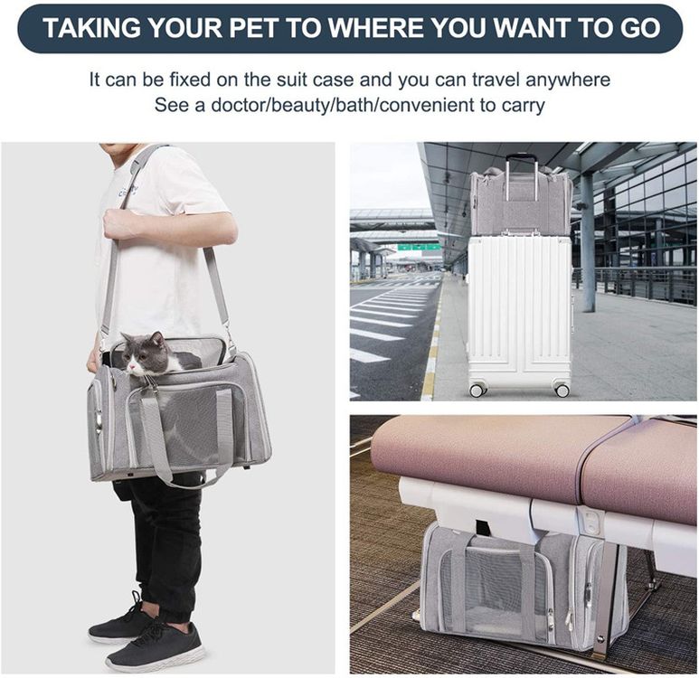 Pet Carrying Case 3