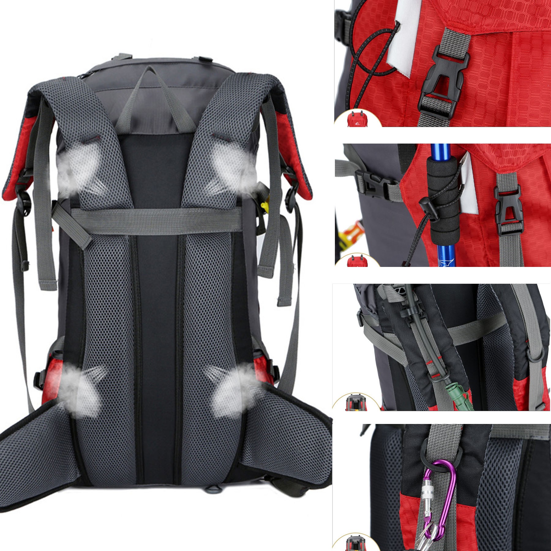 Outdoor Sport Backpack With Rain Cover 3