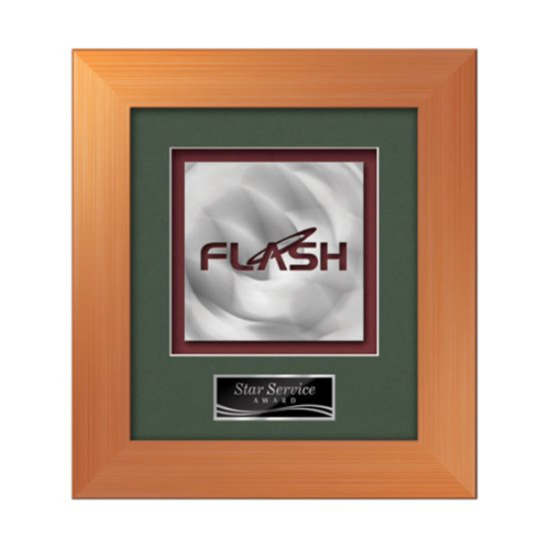 Premier Aquashape™ Award - Bronze