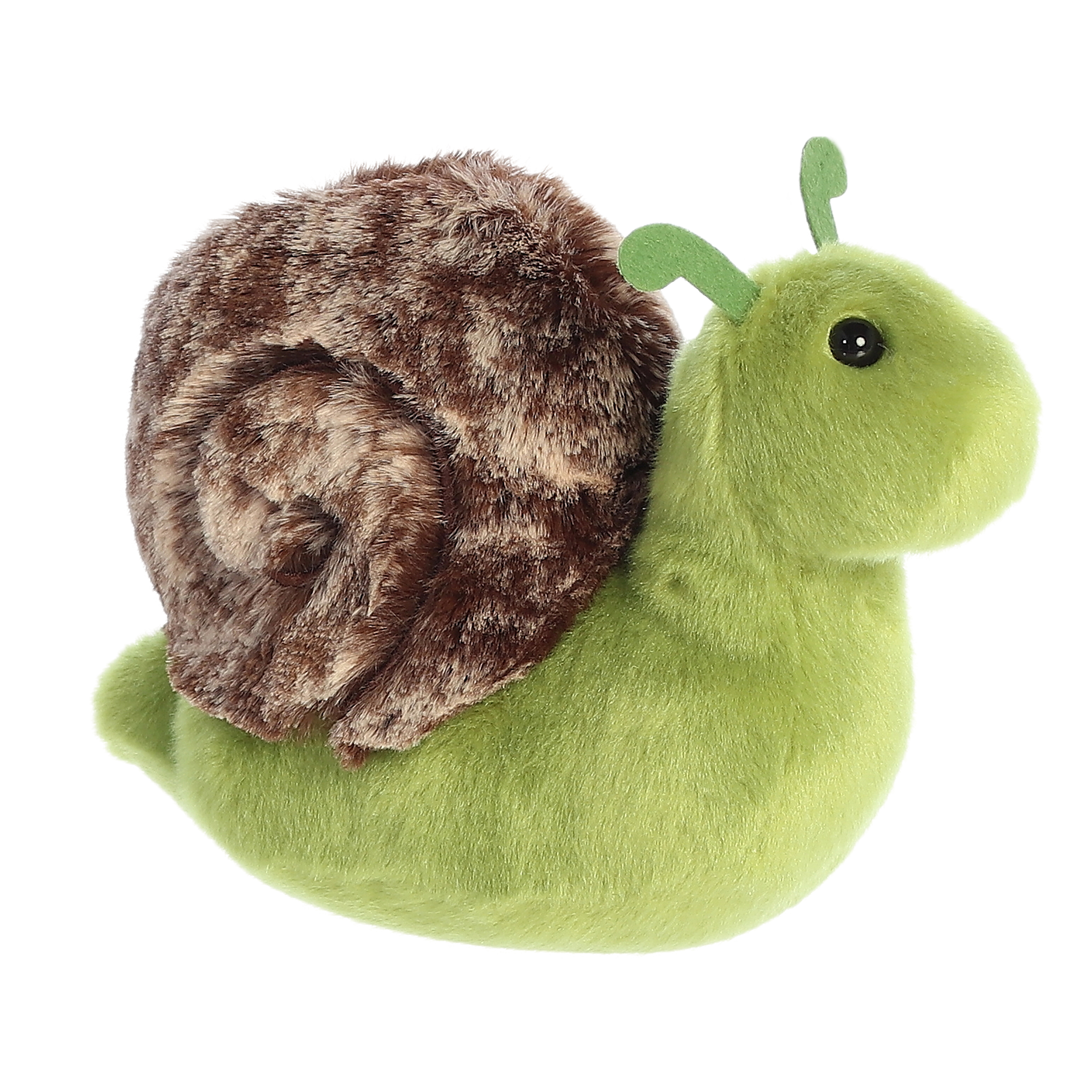 8" Slow Snail 2
