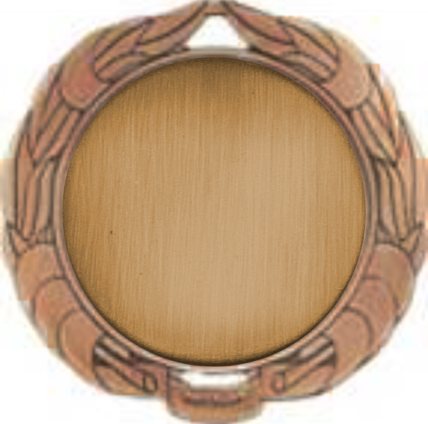 2 3/4" Bronze Wreath Medal w/2" Insert 12