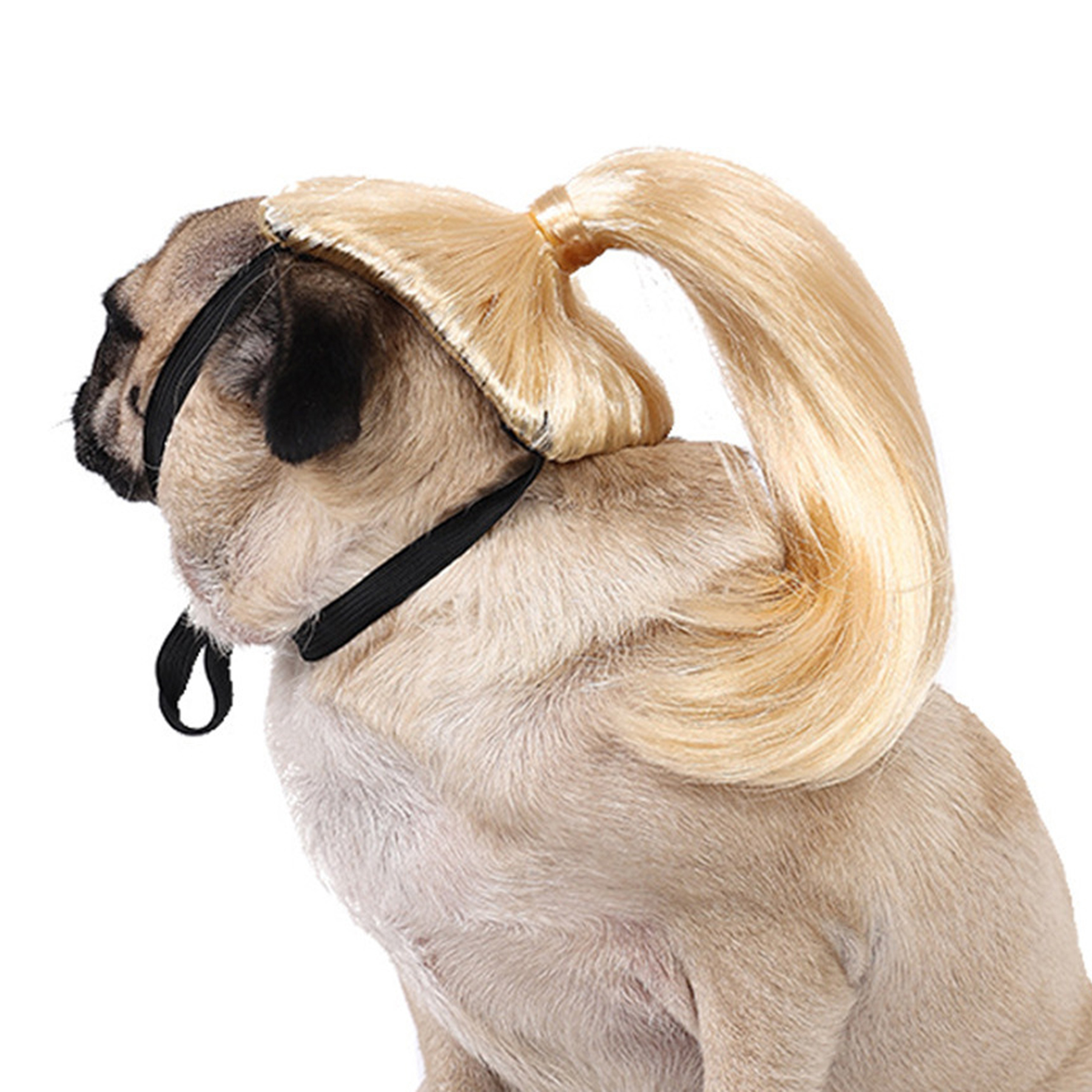 Halloween Pet Wigs for Dogs and Cats 3