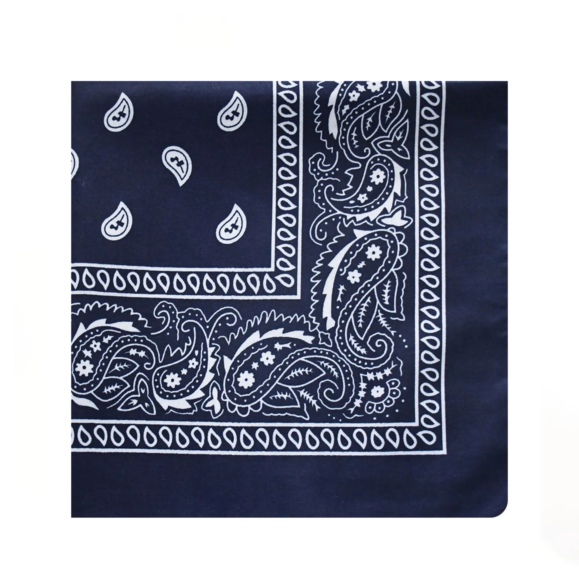 Multi Purpose Paisley Bandana 4