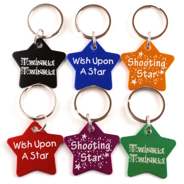 Star Key Chain 1