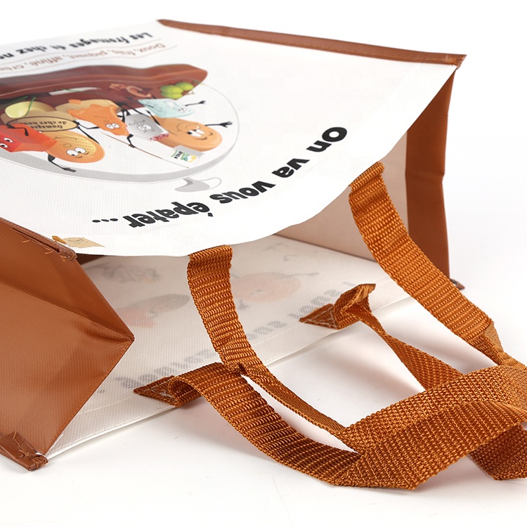Folding Non Woven Shopping Bags 2