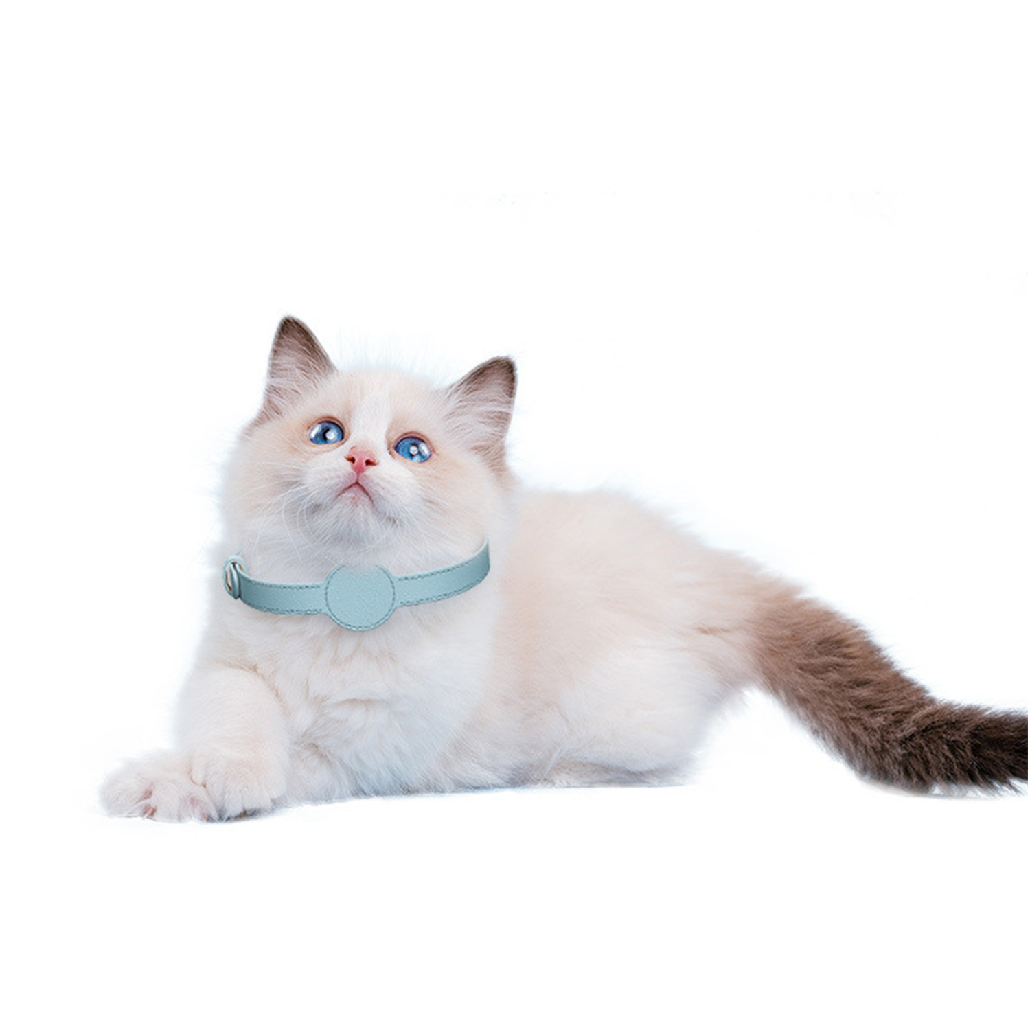 Leather Pet Collar With Apple Air-tag Tracker 3