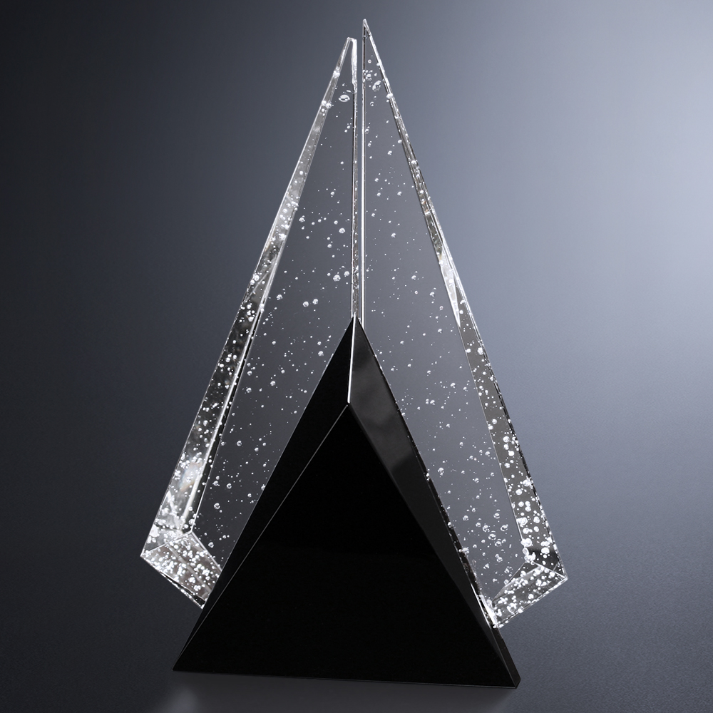 Archer Award 6