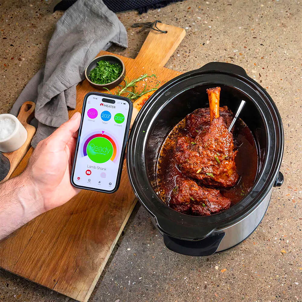 2 Plus Smart Meat Thermometer