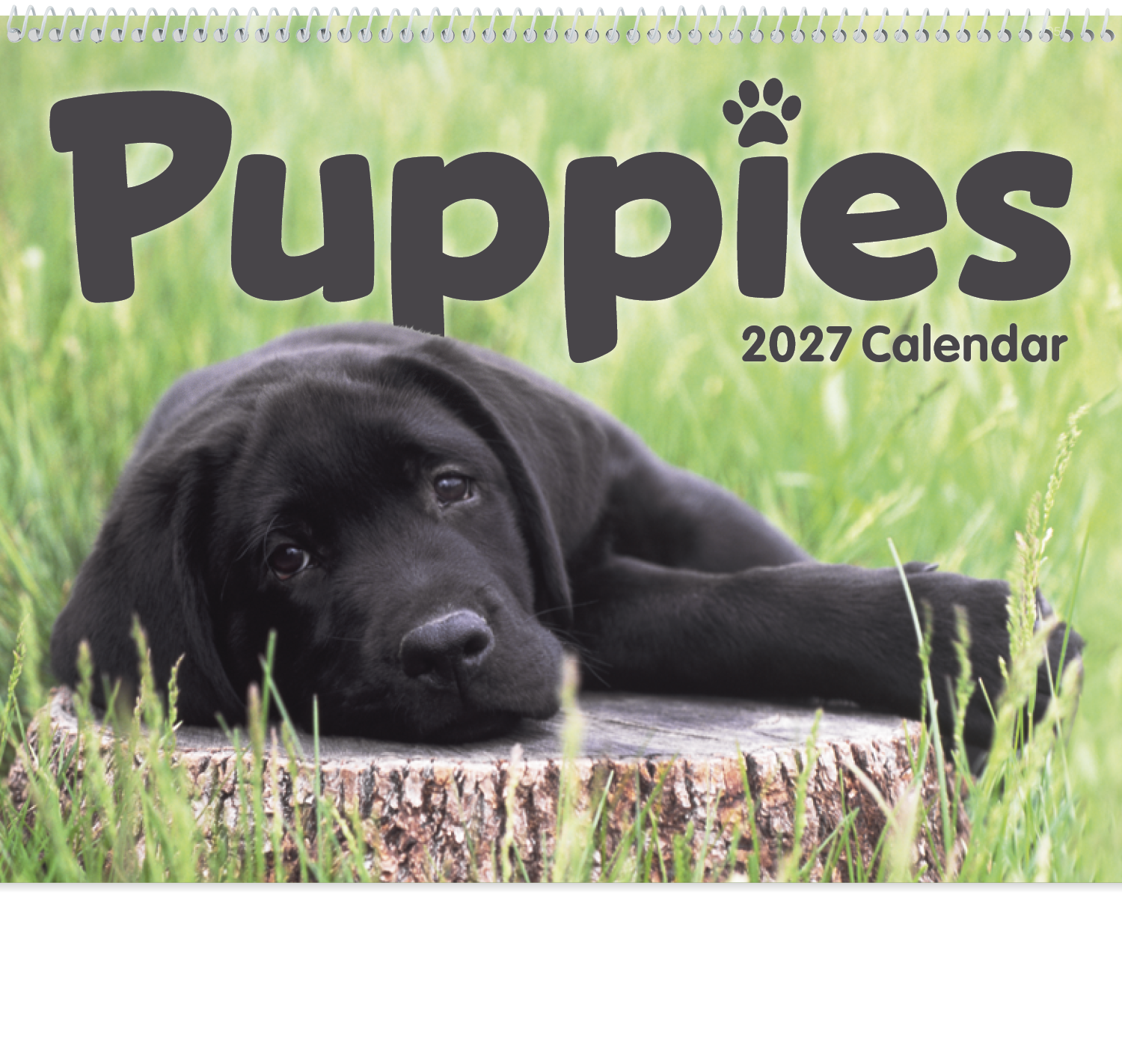 Triumph® Calendars Puppies Calendar 69
